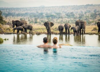 Abercrombie and Kent Safari | Trip advisor, African safari, Luxury safari