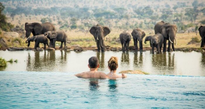 Abercrombie and Kent Safari | Trip advisor, African safari, Luxury safari