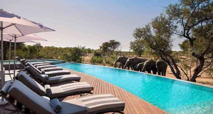 The 10 Best Safari Lodges in Africa